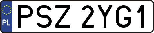 PSZ2YG1