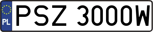 PSZ3000W