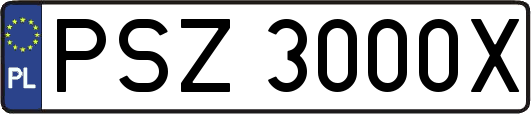 PSZ3000X