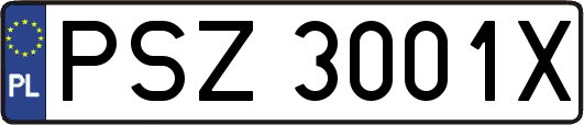 PSZ3001X
