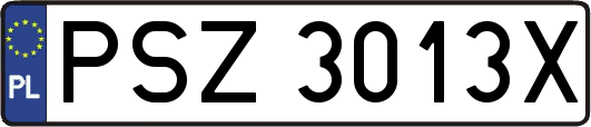 PSZ3013X
