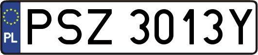 PSZ3013Y