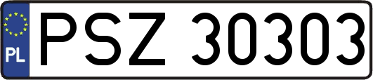 PSZ30303