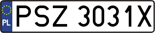 PSZ3031X