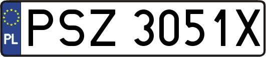 PSZ3051X