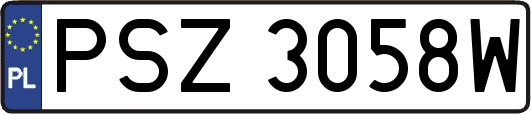 PSZ3058W