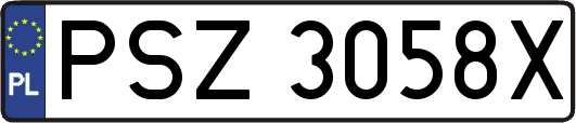 PSZ3058X