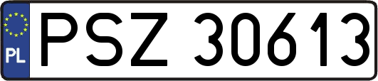 PSZ30613