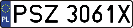 PSZ3061X