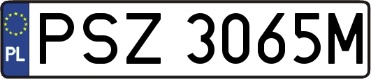 PSZ3065M
