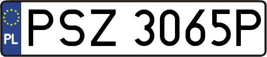 PSZ3065P