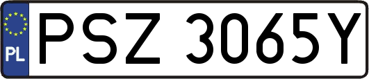 PSZ3065Y