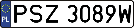 PSZ3089W