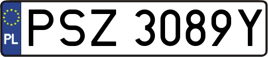 PSZ3089Y