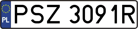 PSZ3091R