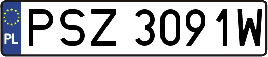 PSZ3091W