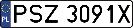 PSZ3091X