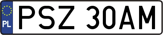 PSZ30AM