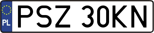 PSZ30KN