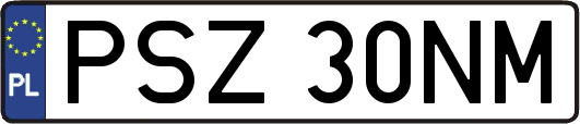 PSZ30NM