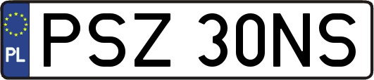 PSZ30NS