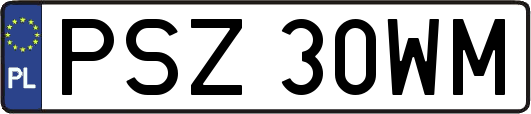 PSZ30WM