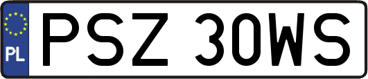 PSZ30WS
