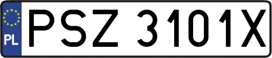PSZ3101X
