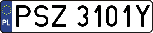 PSZ3101Y