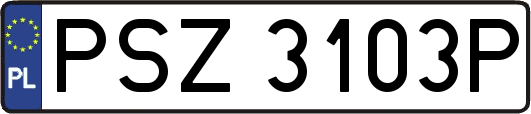 PSZ3103P
