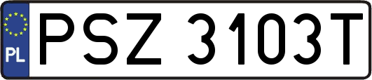 PSZ3103T