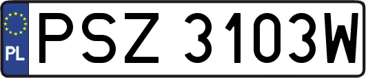 PSZ3103W
