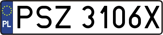 PSZ3106X