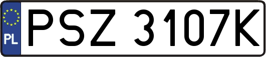 PSZ3107K