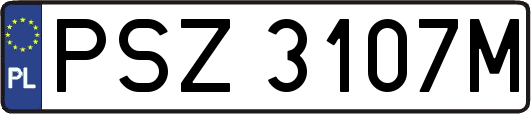PSZ3107M