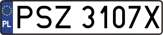 PSZ3107X