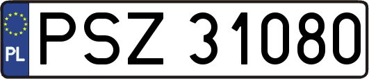 PSZ31080
