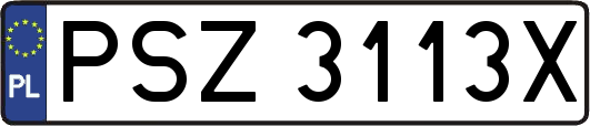 PSZ3113X