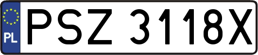 PSZ3118X