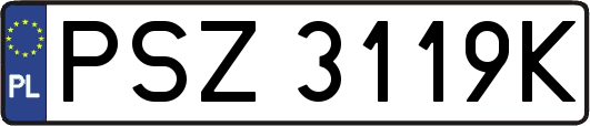 PSZ3119K
