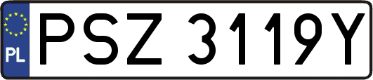 PSZ3119Y