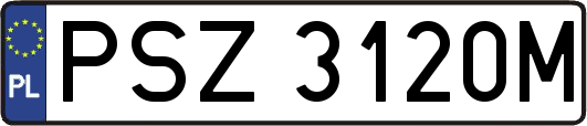 PSZ3120M