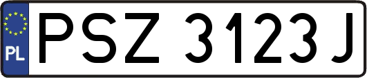 PSZ3123J