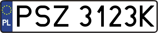 PSZ3123K