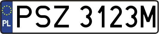 PSZ3123M