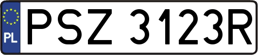 PSZ3123R