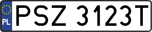 PSZ3123T