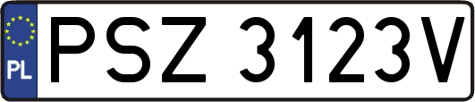 PSZ3123V