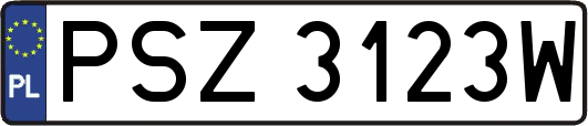 PSZ3123W
