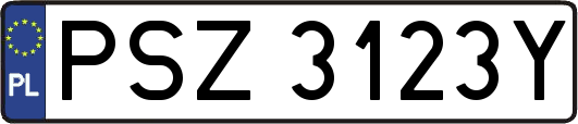 PSZ3123Y